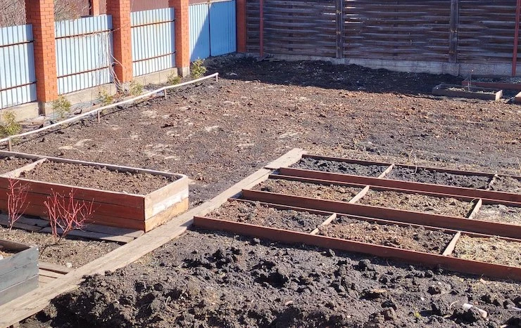 севооборот