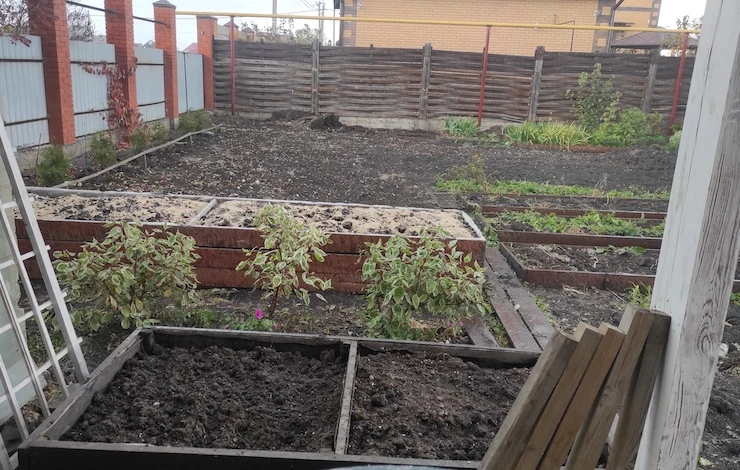 какие овощи сажать с цветами