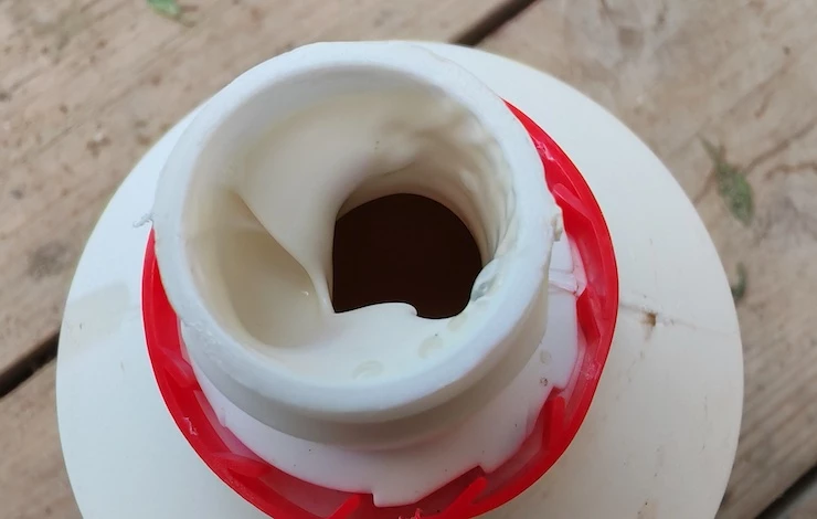 Обработка роз от вредителей весной