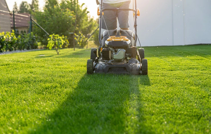 как выбрать газонокосилку