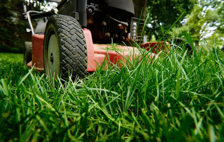 газонокосилка для дачи