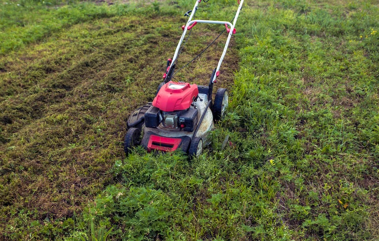 лучшая газонокосилка для дачи
