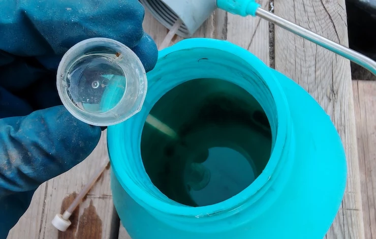 вредители петунии чем обработать