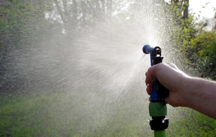 чем обработать виноград от болезней