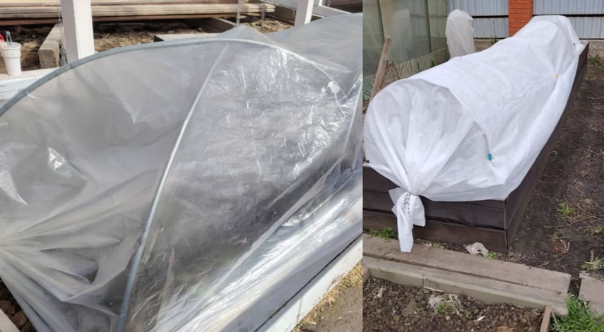 как спасти растения от заморозков