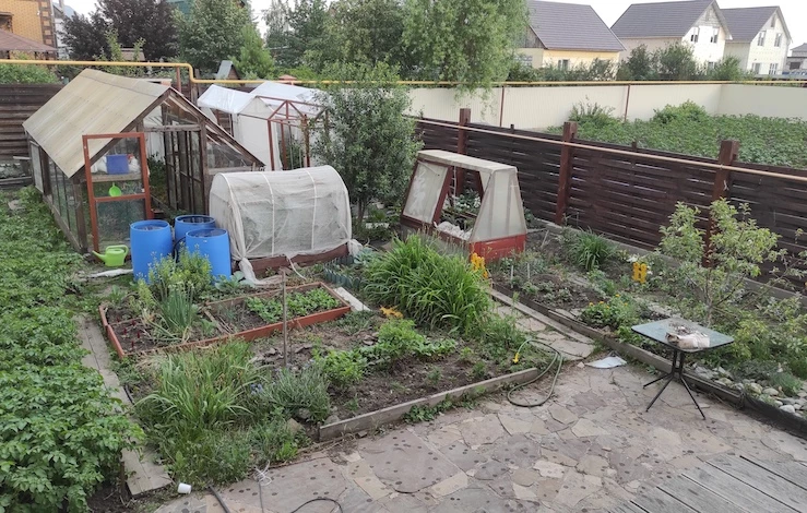 укрытие сада от заморозков