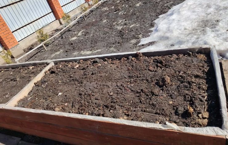 высокие грядки для рассады