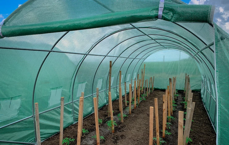 от жары в теплице