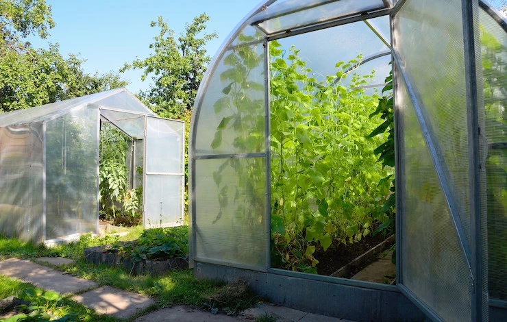 жара в теплице из поликарбоната