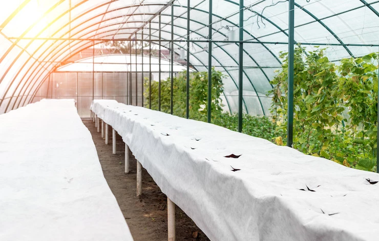 как поливать теплицу в жару