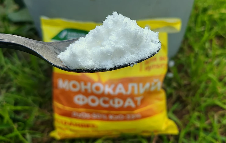 подкормка роз для цветения