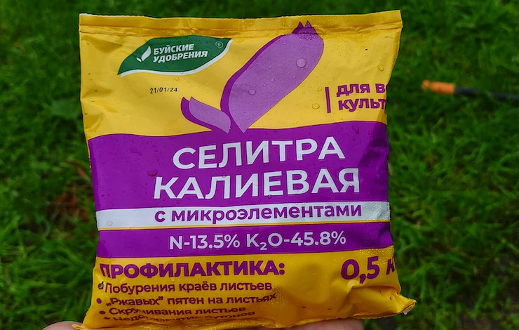 какие подкормки розам