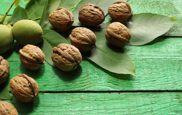 грецкий орех в подмосковье уход