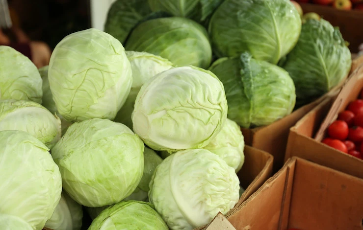 посадка капусты в июне по лунному календарю