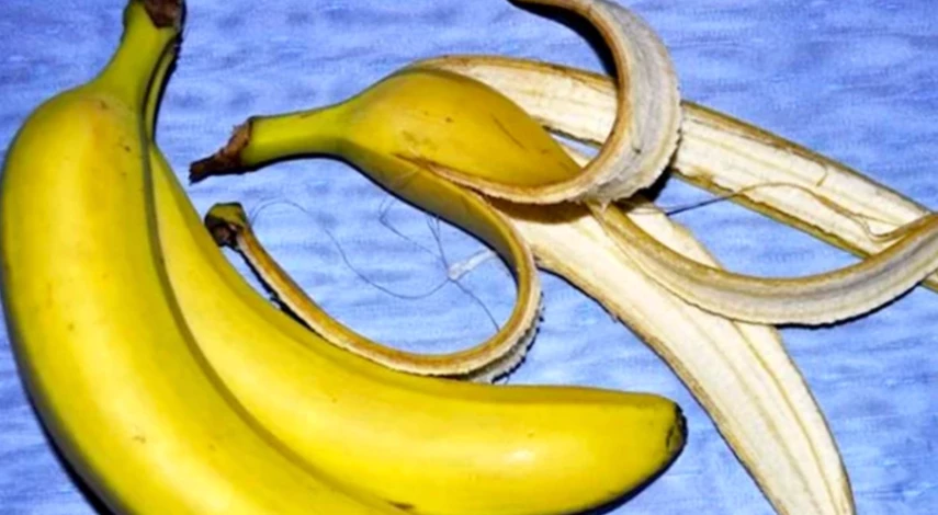 подкормки петуний в июле