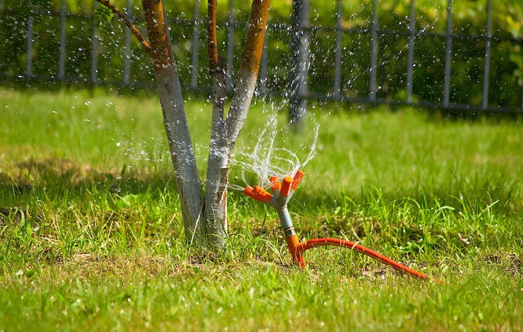 полив сада в июле