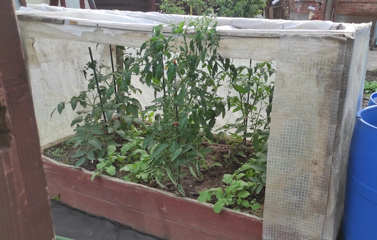 укрытие грядки своими руками