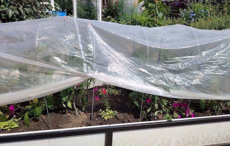 как сделать парник своими руками