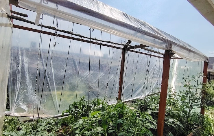 самодельный парник на даче