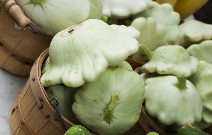 хранение патиссонов в домашних условиях