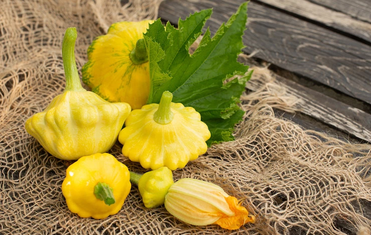 как заготовить патиссоны