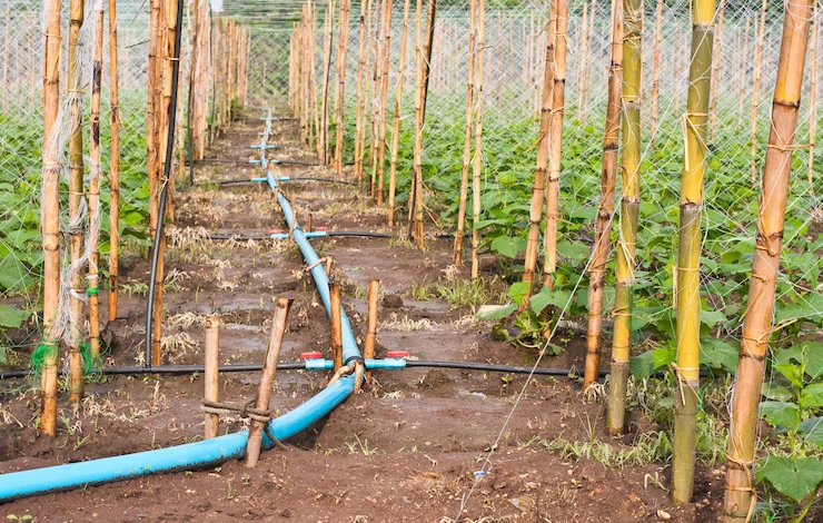 капельный полив самодельный