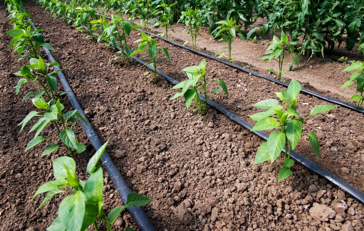 капельный полив монтаж