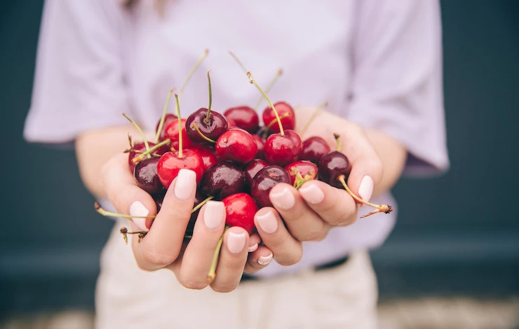 когда собирать ягоды вишни