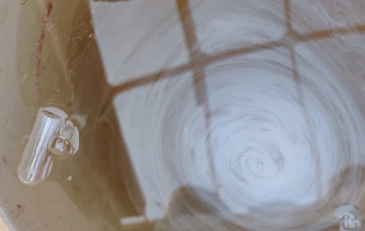 препараты от мучнистой росы на флоксах