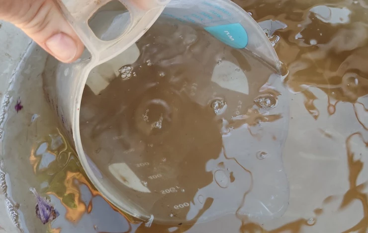 мучнистая роса на флоксах профилактика