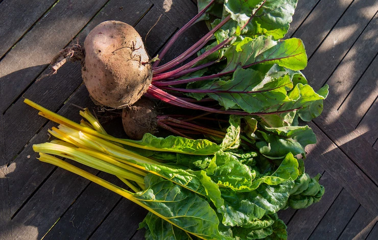 Чем удобрить свеклу в июле