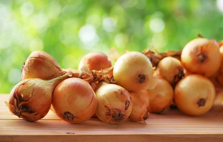 посадка лука в августе