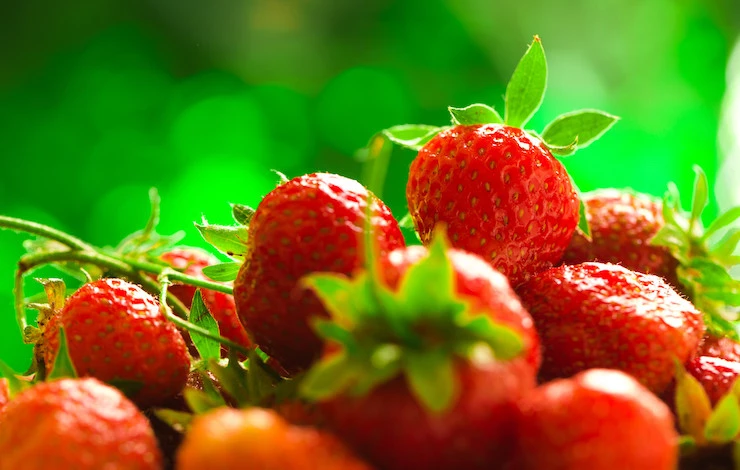 чем подкормить клубнику после плодоношения