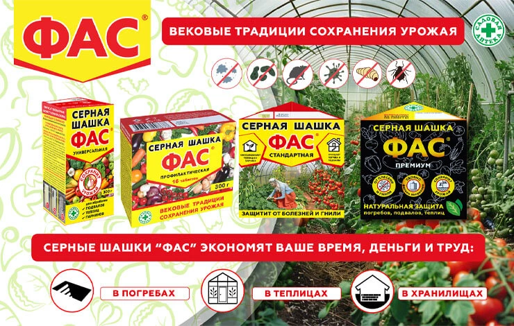 как обработать погреб серной шашкой