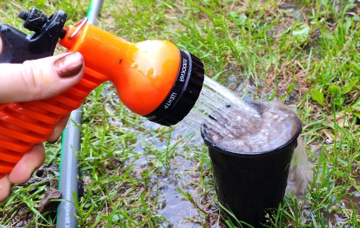 как размножить клубнику в августе усами