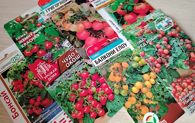 посевы в августе