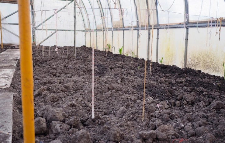 как обработать теплицу осенью