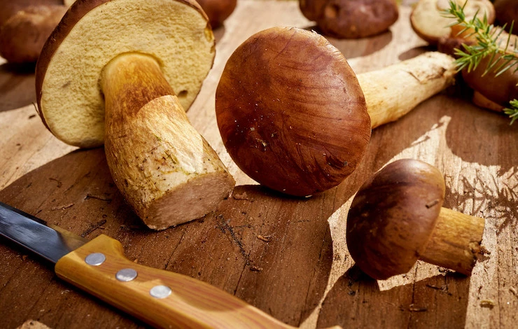 заморозка грибов в морозилке