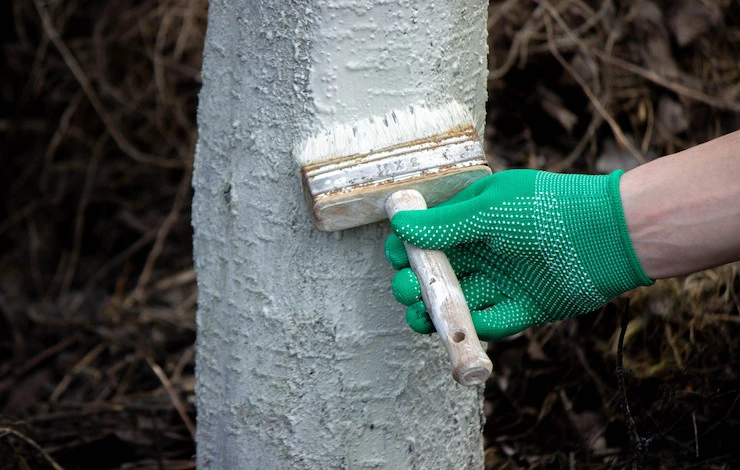 как спасти деревья от зайцев осенью