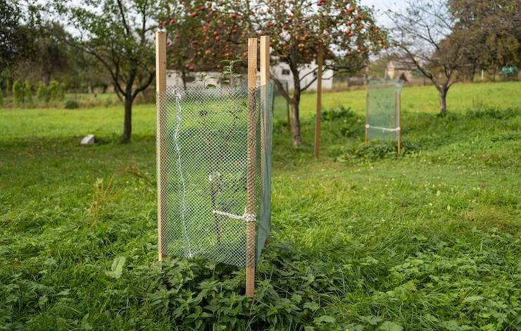 как защитить сад от зайцев в сентябре