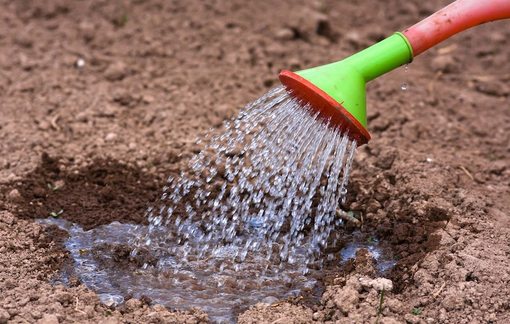 биопрепараты для обработки теплицы осенью