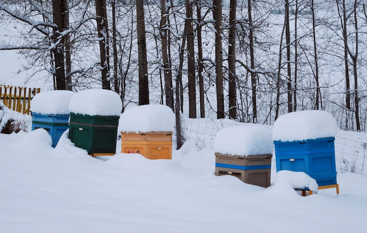 утепление пчелиных ульев осенью