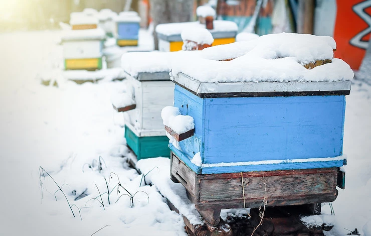 чем утеплить улей на зиму