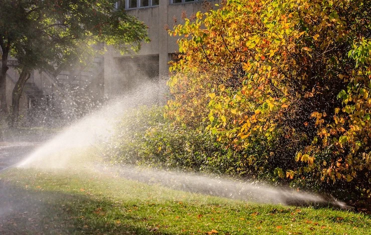 сроки влагозарядкового полива осенью