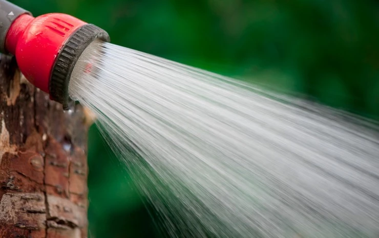 Влагозарядный полив для хвойных деревьев