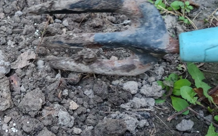 чем подкормить вишню осенью лучшие удобрения