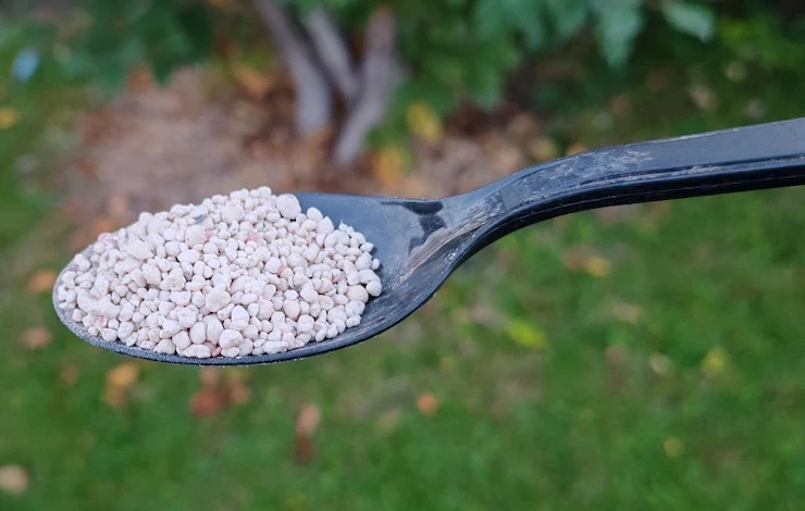 подкормки вишни перед зимовкой