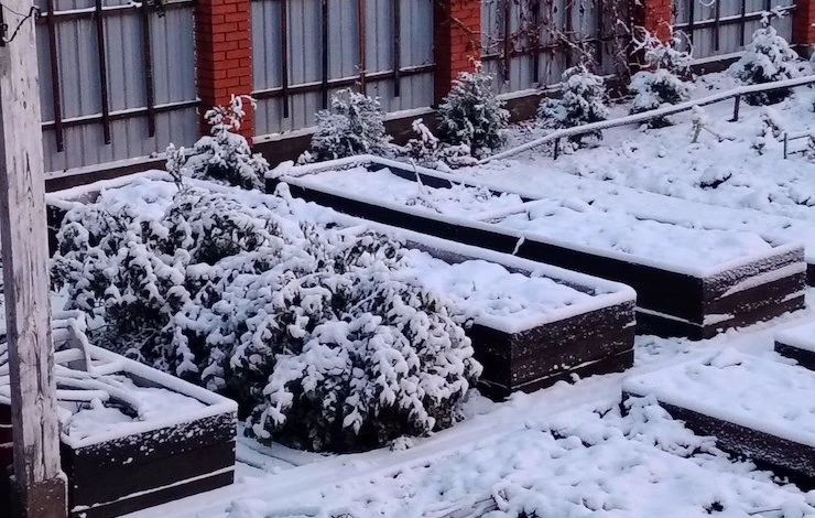 высокие грядки осенью