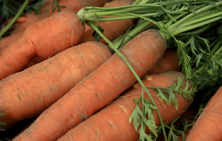 хранение моркови в опилках зимой