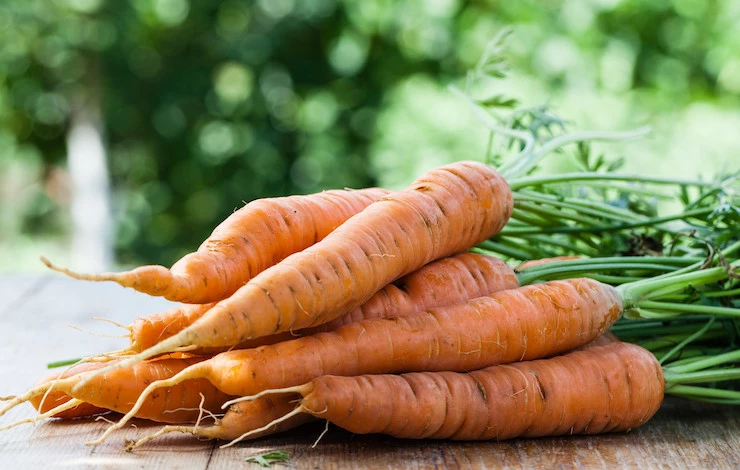 хранение моркови в опилках в погребе